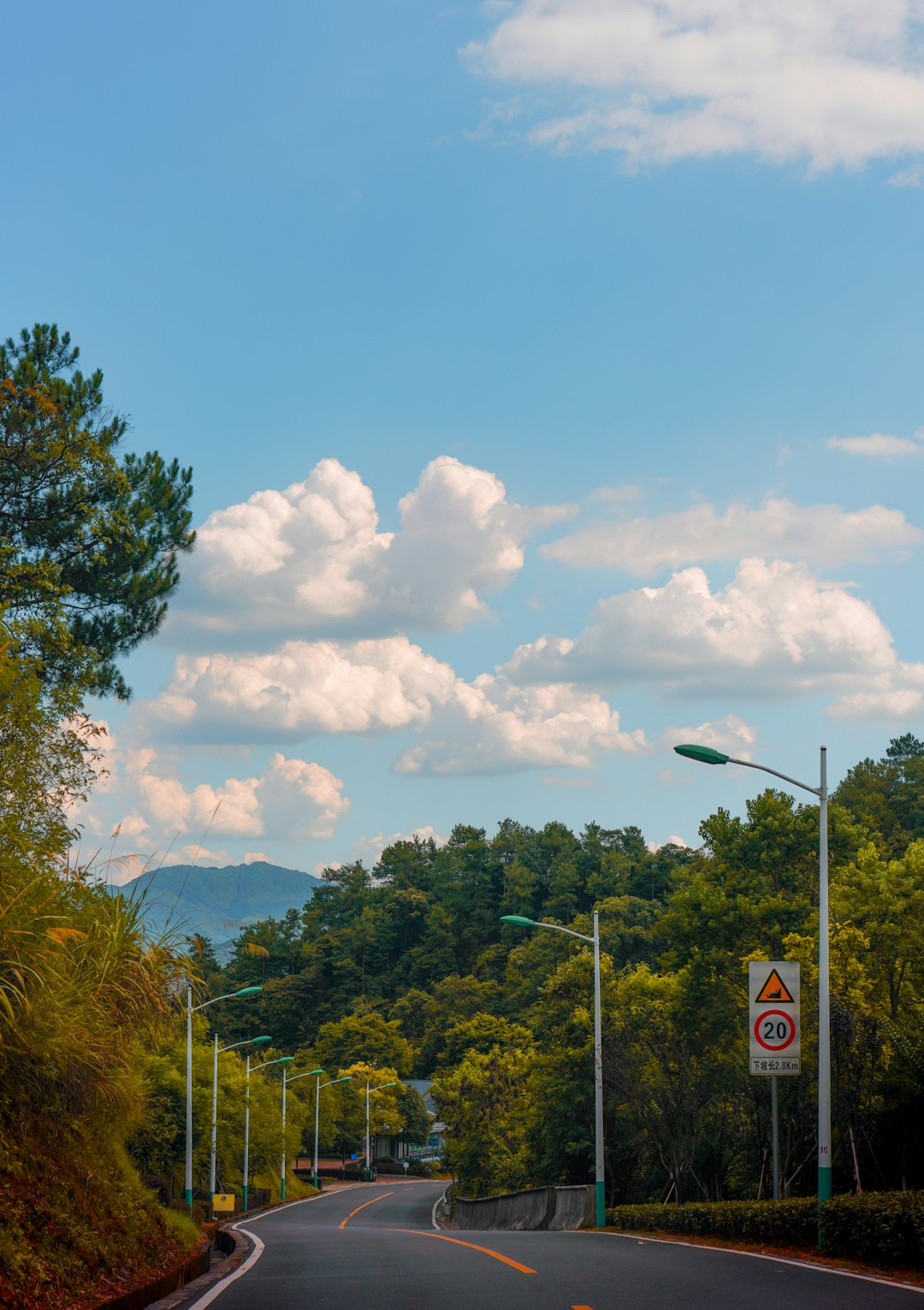 green-trees-under-blue-sky-during-daytime-iuhzd2f56bw